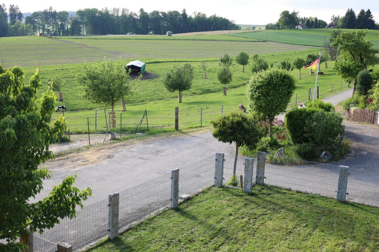 Hohenfels  Ferienwohnung Hippenhof מראה חיצוני תמונה