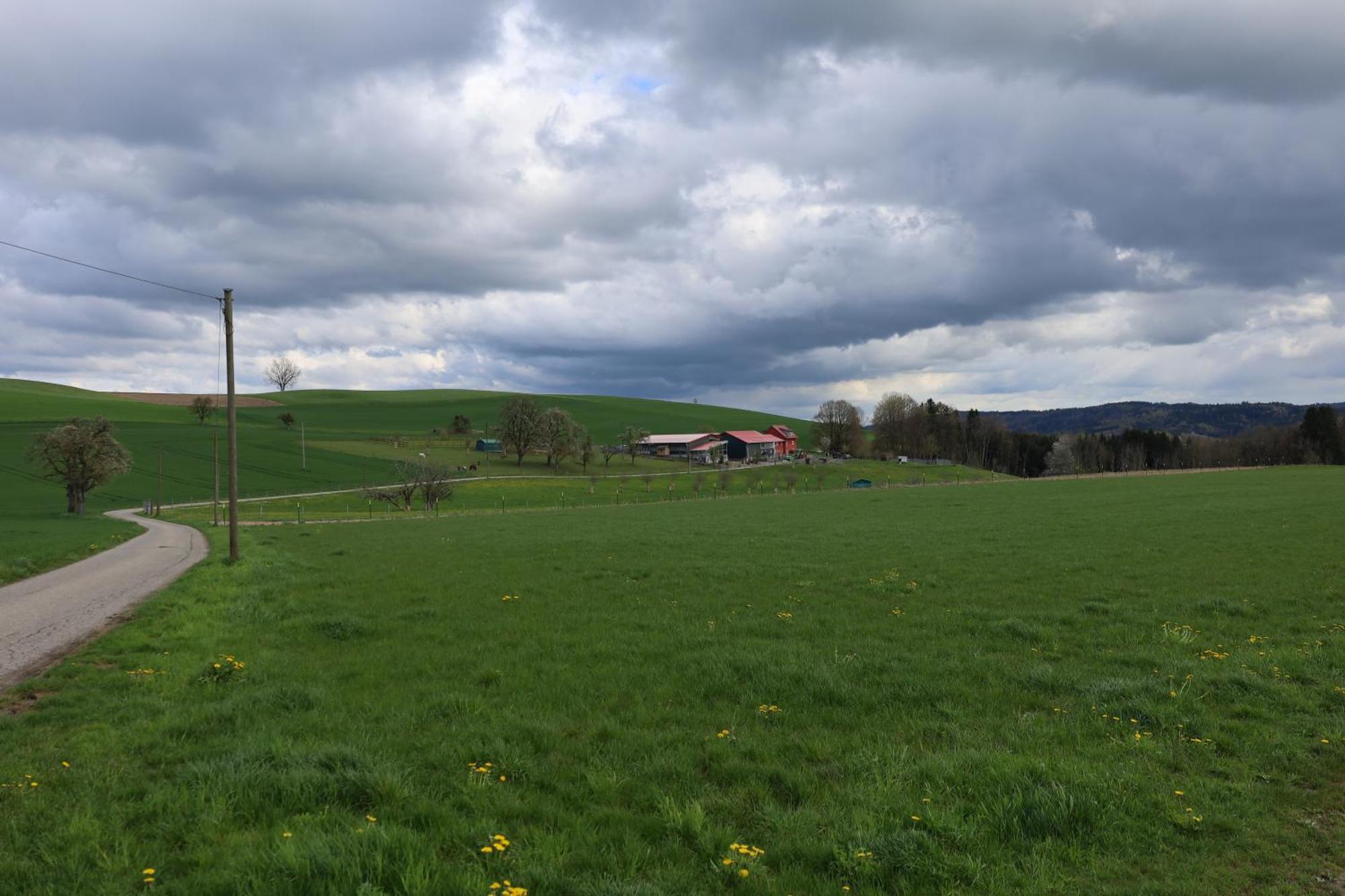 Hohenfels  Ferienwohnung Hippenhof מראה חיצוני תמונה