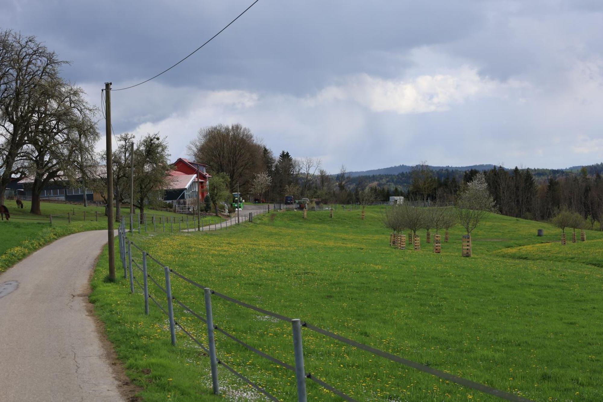 Hohenfels  Ferienwohnung Hippenhof מראה חיצוני תמונה